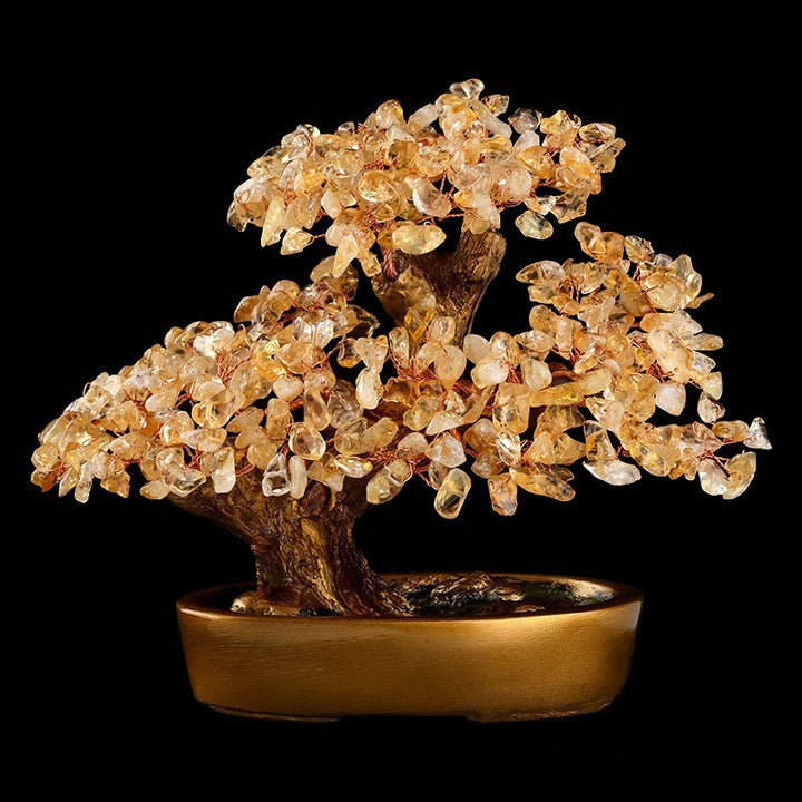 Bonsaï de Richesse – La Lumière de la Prospérité