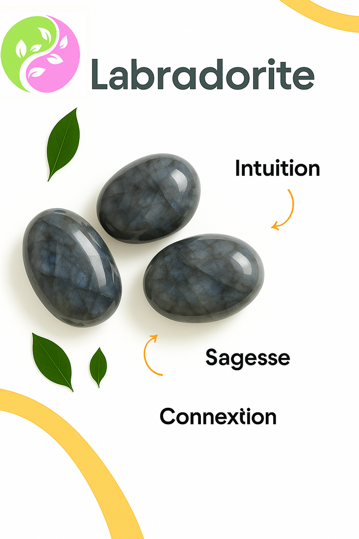 Bracelet "Aura Protection" en Tourmaline, Œil de Tigre & Labradorite