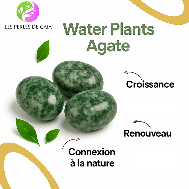 Bracelet "Croissance et Renouveau" en Water Plants Agate